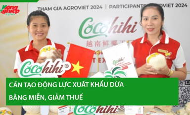 Đẩy mạnh xuất khẩu dừa Việt bằng thương hiệu và kĩ thuật