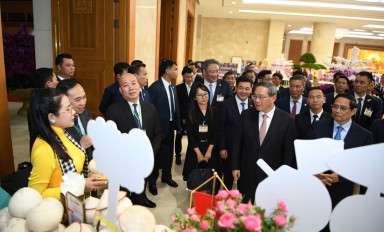 Dừa hữu cơ Cocohihi - Tinh hoa xứ dừa Bến Tre vươn xa thế giới